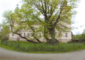 Roteiche2