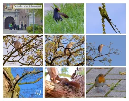 gracht_2_internet