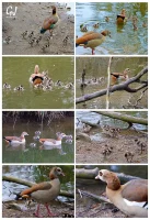 gracht_4_internet