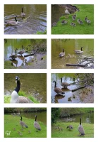 gracht_6_internet