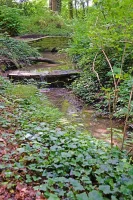 gracht_wasser_06