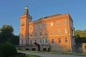 neu012