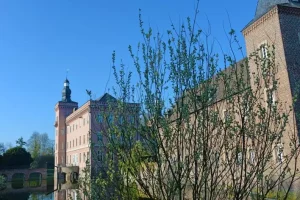 neu034