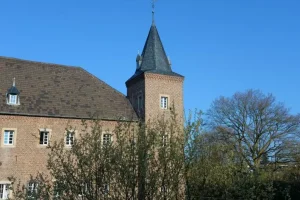 neu036